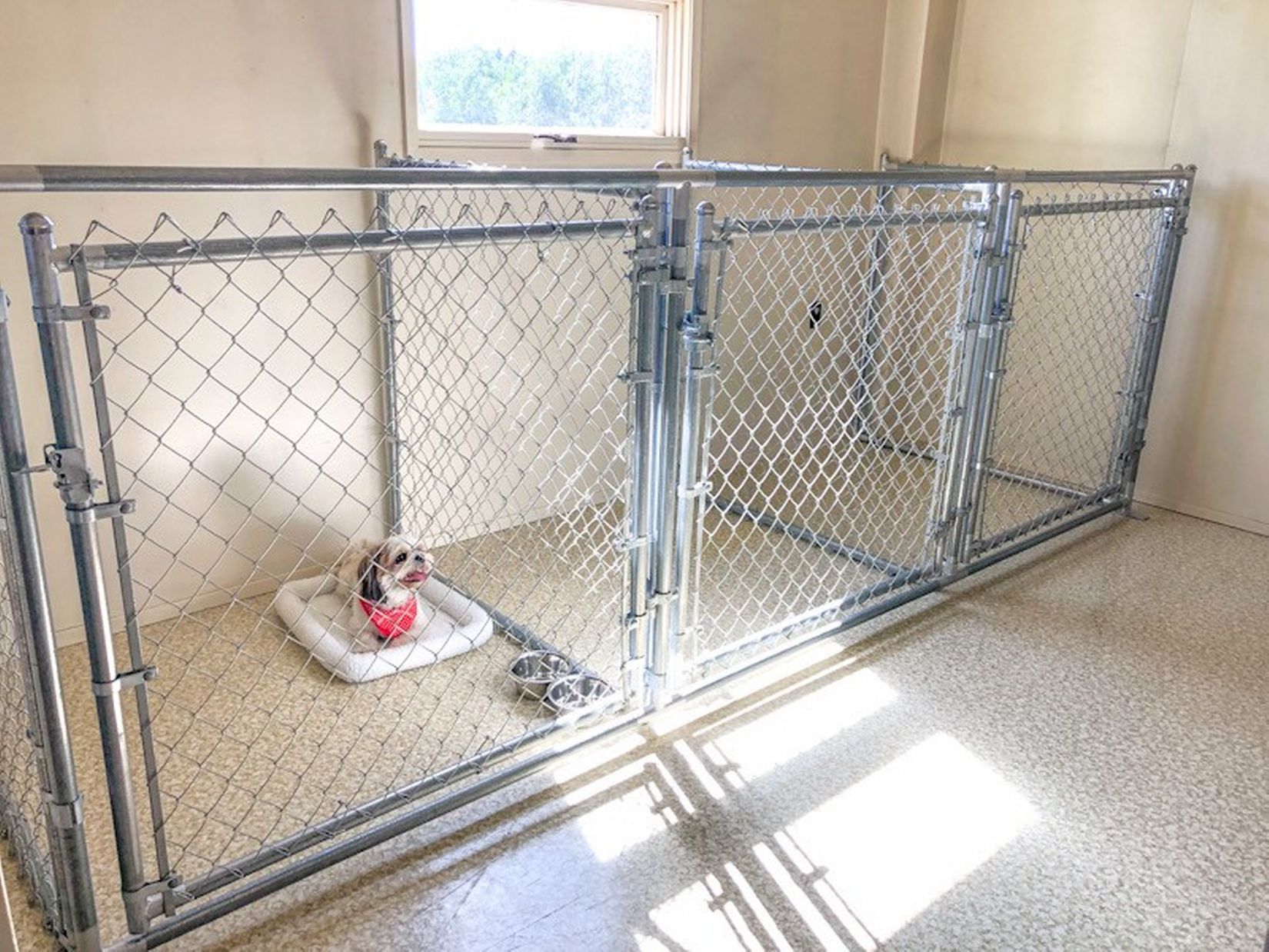 Moe’s Boarding Kennel Leslieville Alberta